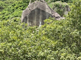 đất mẫu Xuân Thọ